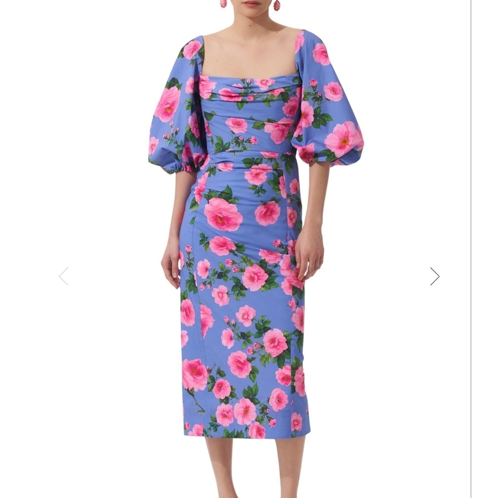NWT Carolina Herrera Floral Print Ruched Midi Dress (US 12)